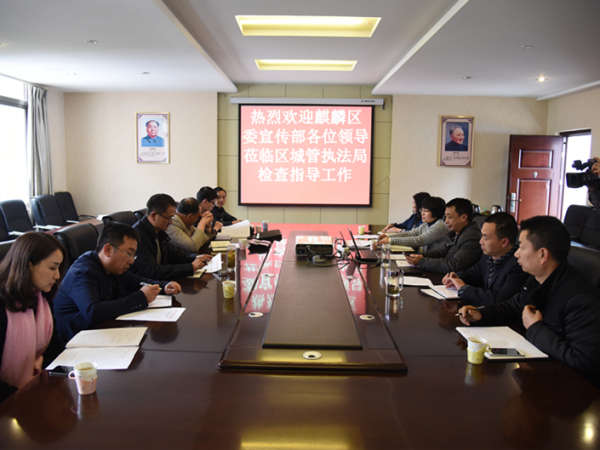 张臻到区城管执法局调研意识形态工作